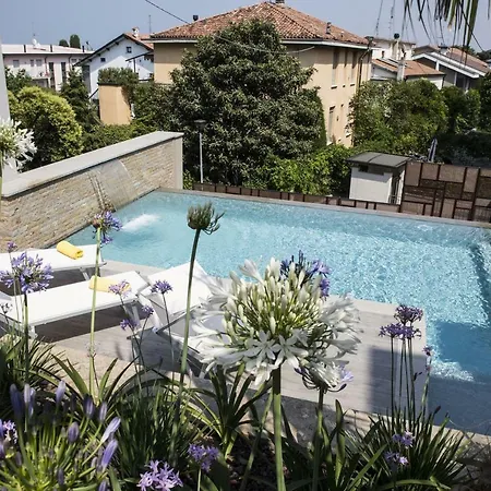 Agapanthus * Desenzano del Garda