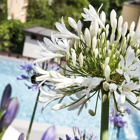 Nocleg ze śniadaniem Agapanthus *